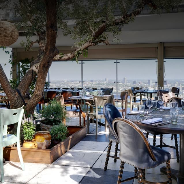 Rooftop restaurant with eclectic seating, potted plants, and a large tree, offering panoramic city views through glass panels